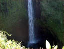 [ The stunning Akaka Falls. ]