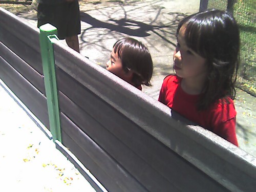 Zoo