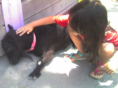 Zoo