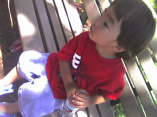 Zoo