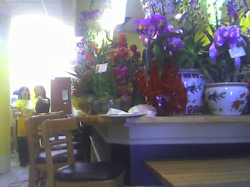 Lunch