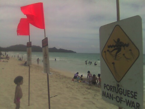 Waimanalo