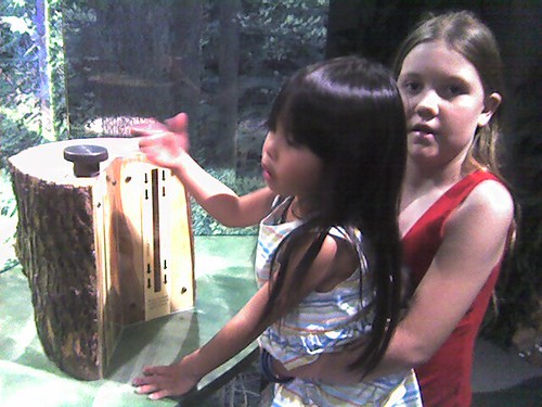 Bishop Museum