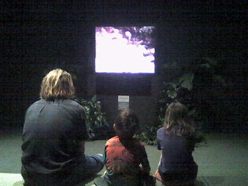 Bishop Museum