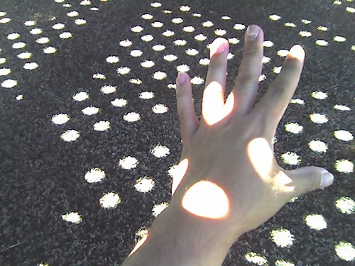 Dots