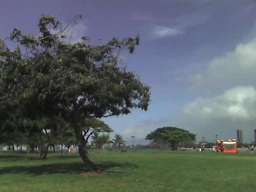 Picnic