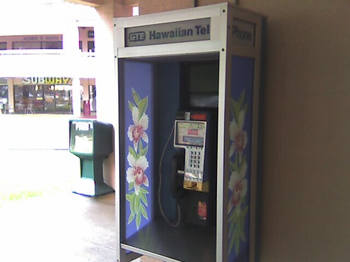 (808) 988-9081