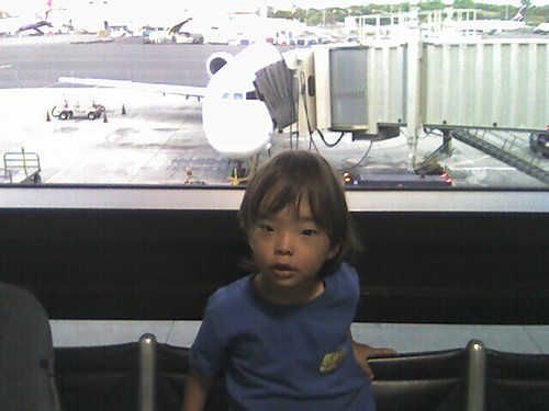 Hilo Trip