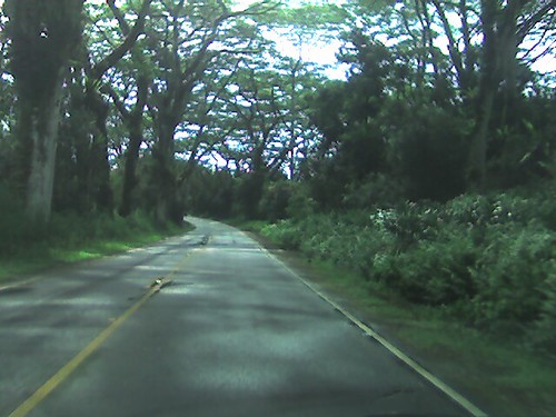Drive
