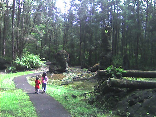 Lava Trees