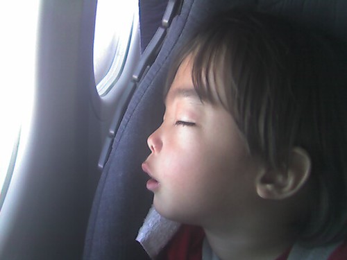Dreamland
