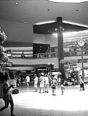 [ Windward Mall ]